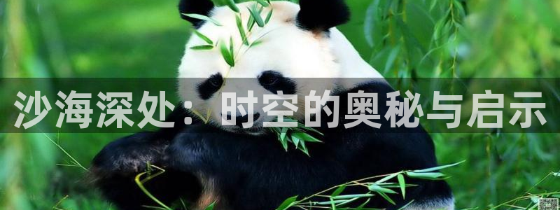 桔子影视免费在线观看